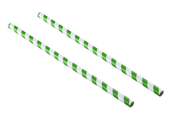 9INCH - Dark Green & White Paper Straws