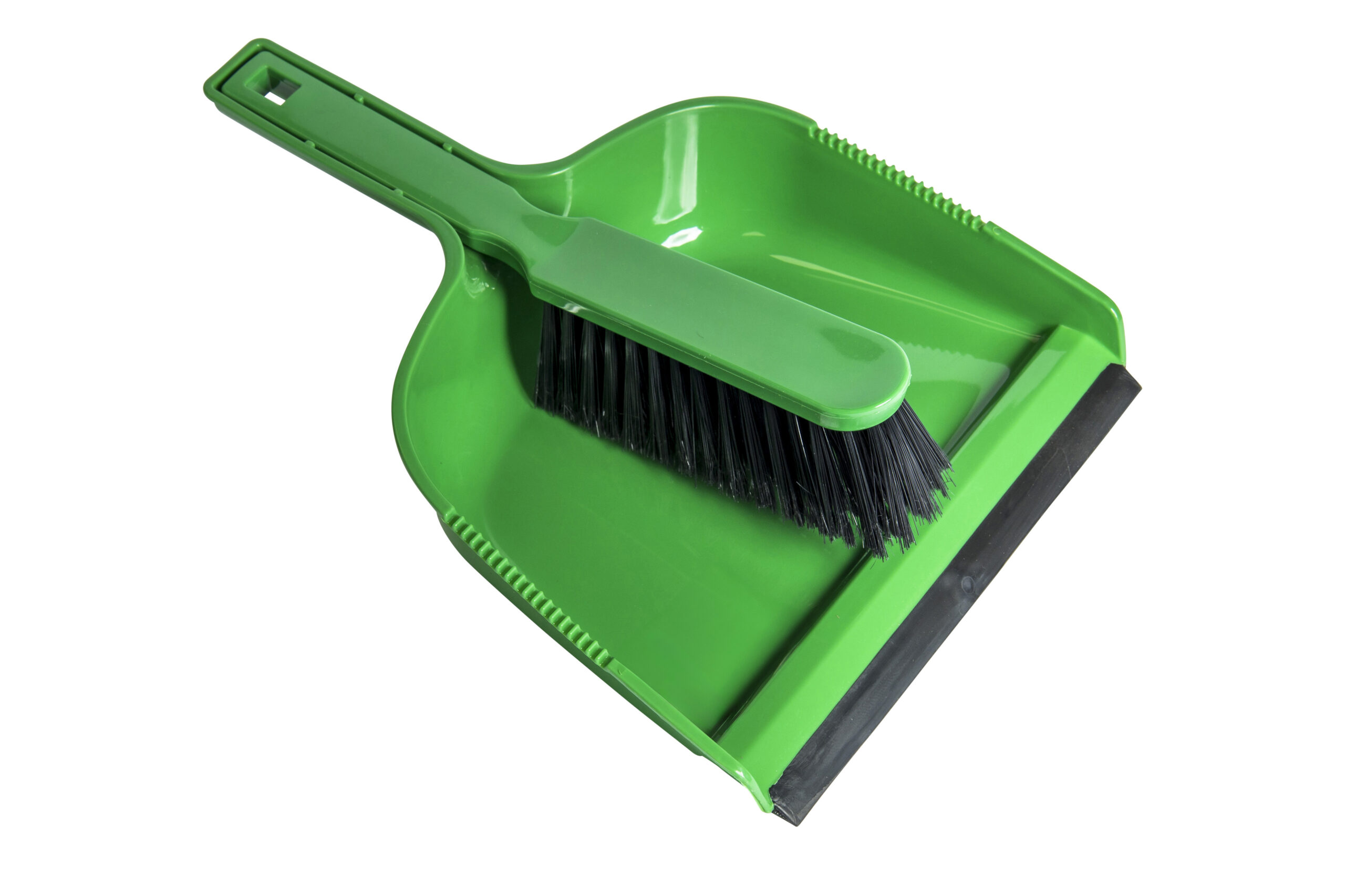 Sparkleit Green Dustpan & Brush Set